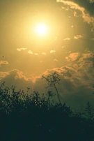 A warm, sunlit moment from the 'Summer in Lagos' series, with relaxed figures and golden hues.