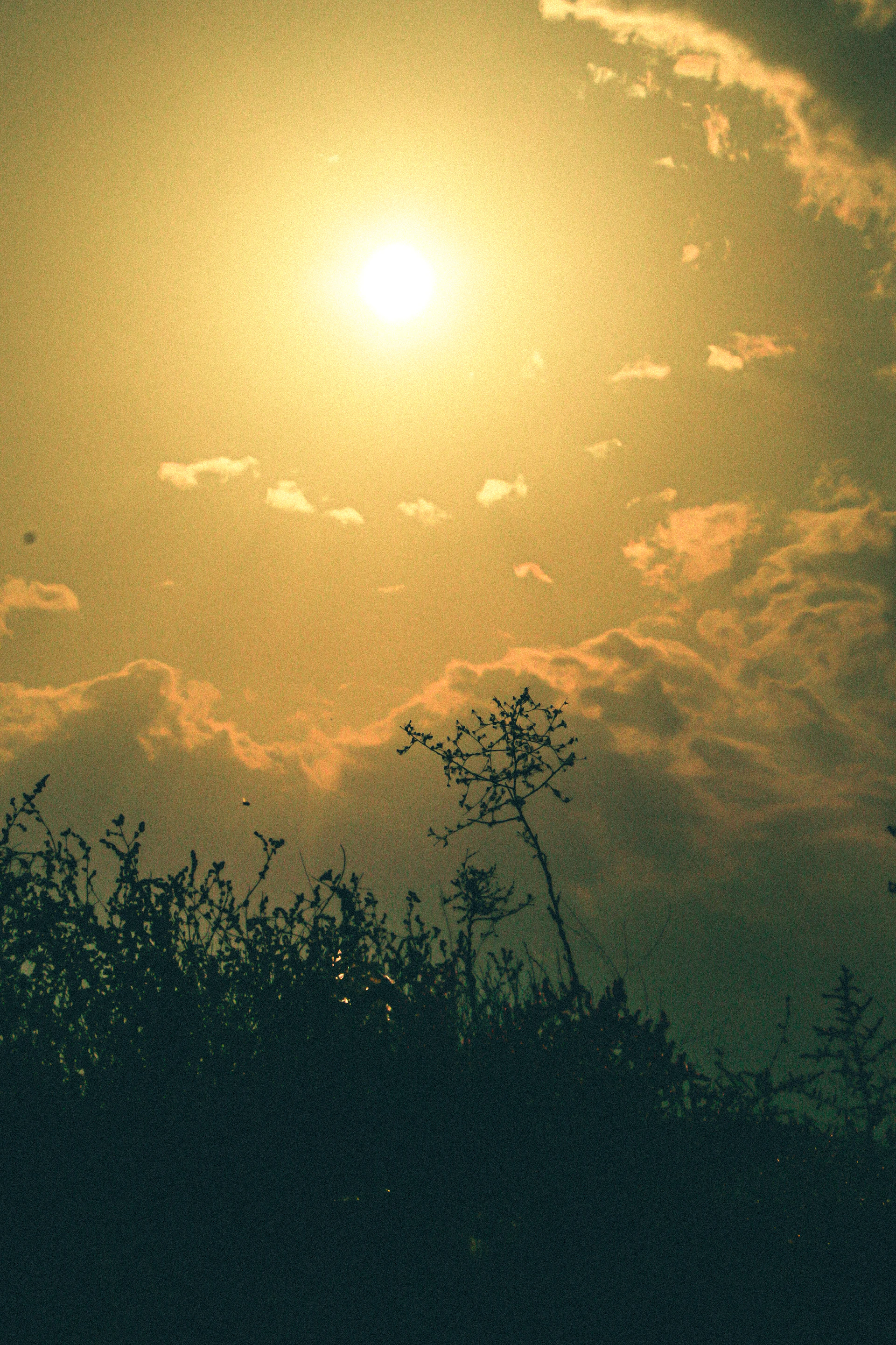 woman wearing yellow long-sleeved dress under white clouds and blue sky during daytime