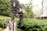 A man is trimming tall plants with an electric hedge trimmer while standing on a platform in a garden. A woman with white hair and a walking stick is standing nearby, smiling. The scene is set in a lush garden with a vintage street lamp, surrounded by greenery, and adjacent to residential buildings.