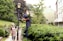 A man is trimming tall plants with an electric hedge trimmer while standing on a platform in a garden. A woman with white hair and a walking stick is standing nearby, smiling. The scene is set in a lush garden with a vintage street lamp, surrounded by greenery, and adjacent to residential buildings.