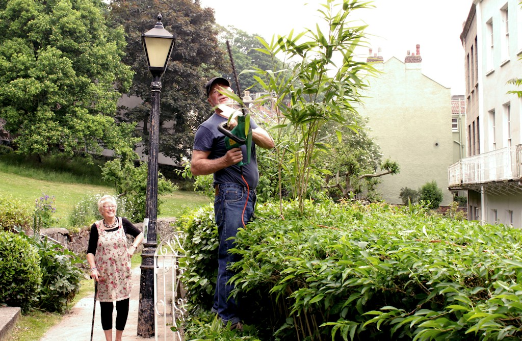 Cordless Hedge Trimmer