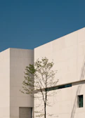 The exterior facade of the Éclat Juridique office building in Congo Brazzaville on a bright day.