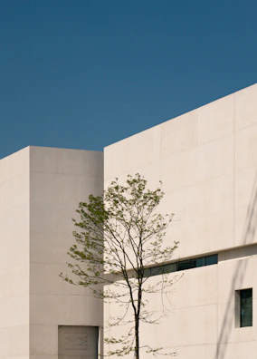 The exterior facade of the Éclat Juridique office building in Congo Brazzaville on a bright day.