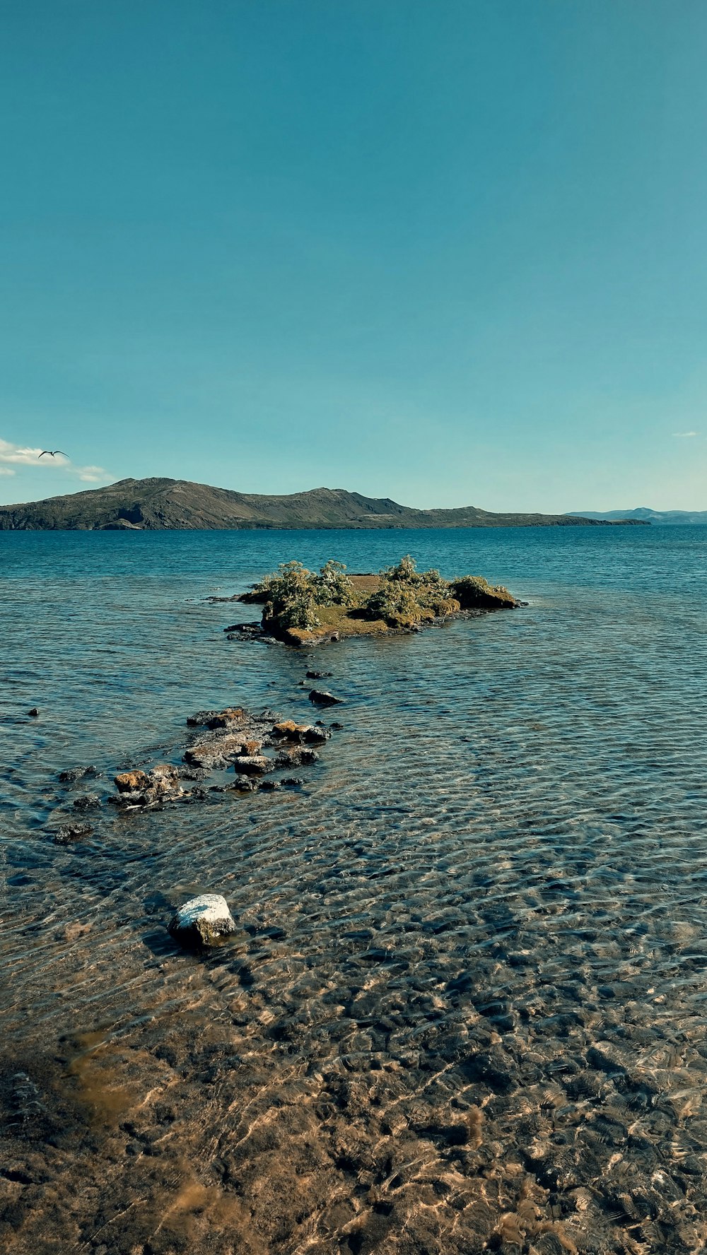 un cuerpo de agua con rocas