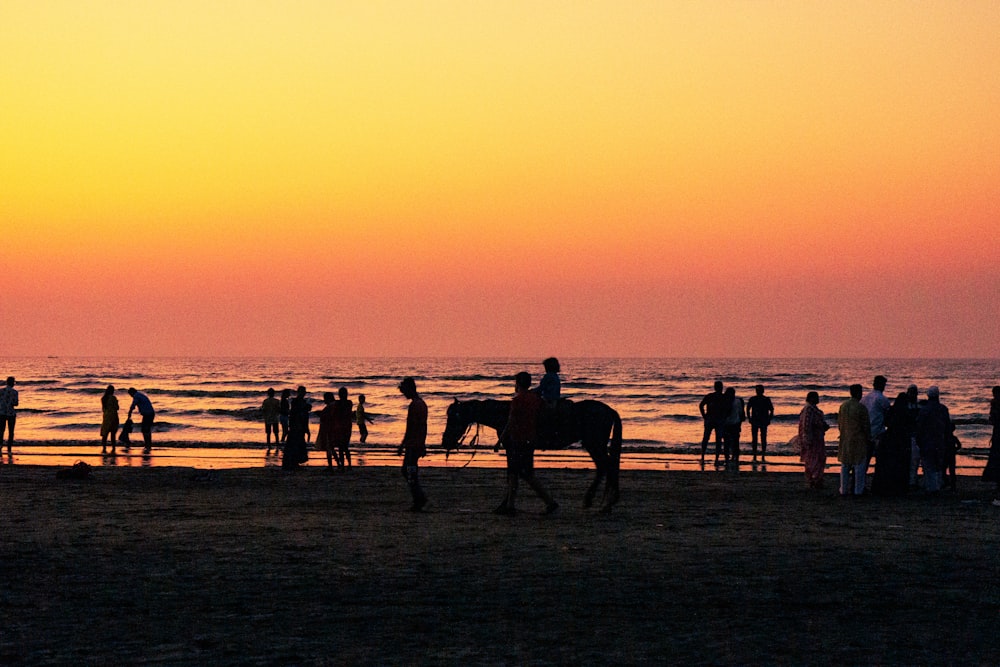 a group of people standing on top of a beach next to the ocean