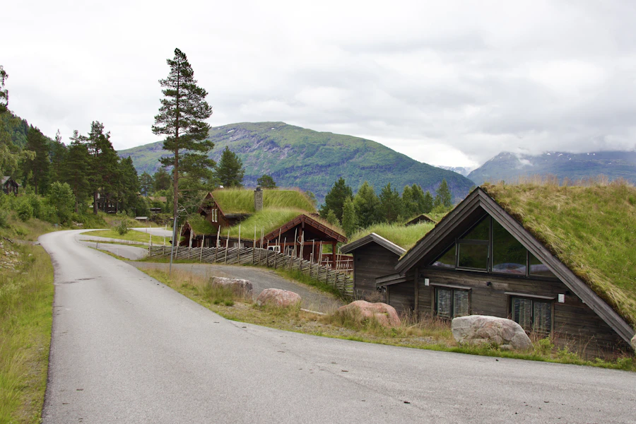 Hyttegrend med torvtak langs en vei i grønt fjellandskap