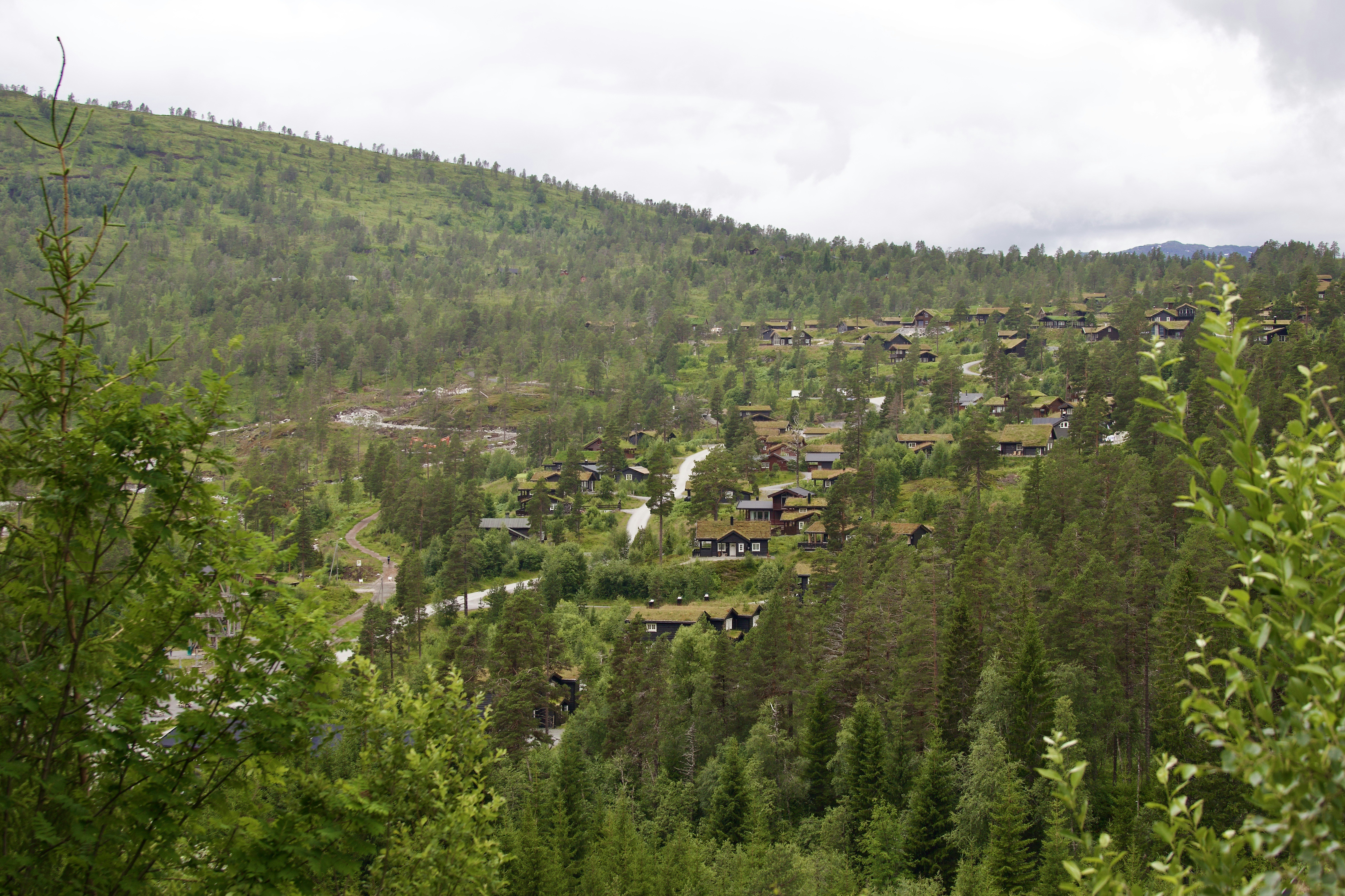 a view of a village nestled in a forest