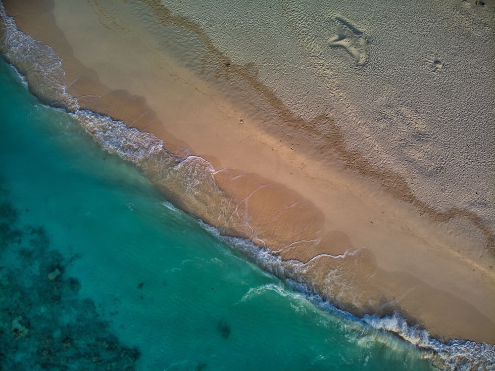 an aerial view of a sandy beach and ocean