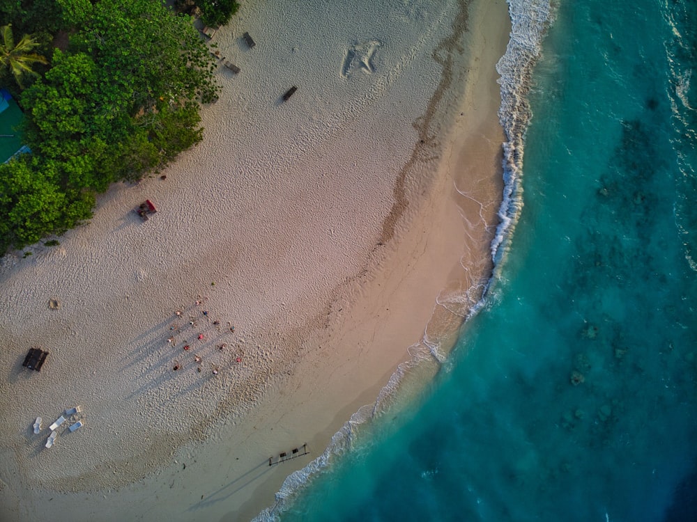 an aerial view of a sandy beach and ocean