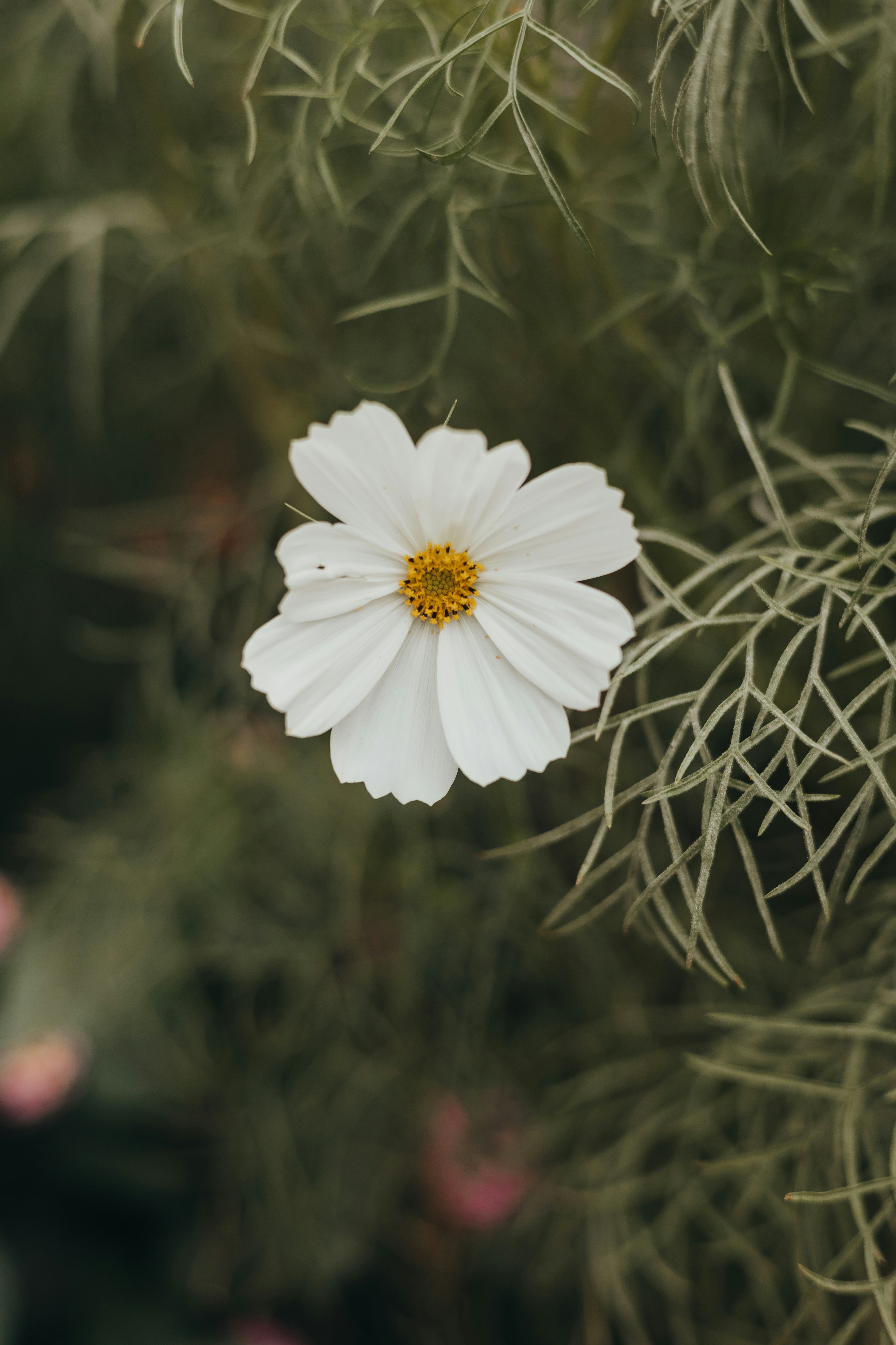 Photo by sallywilliams