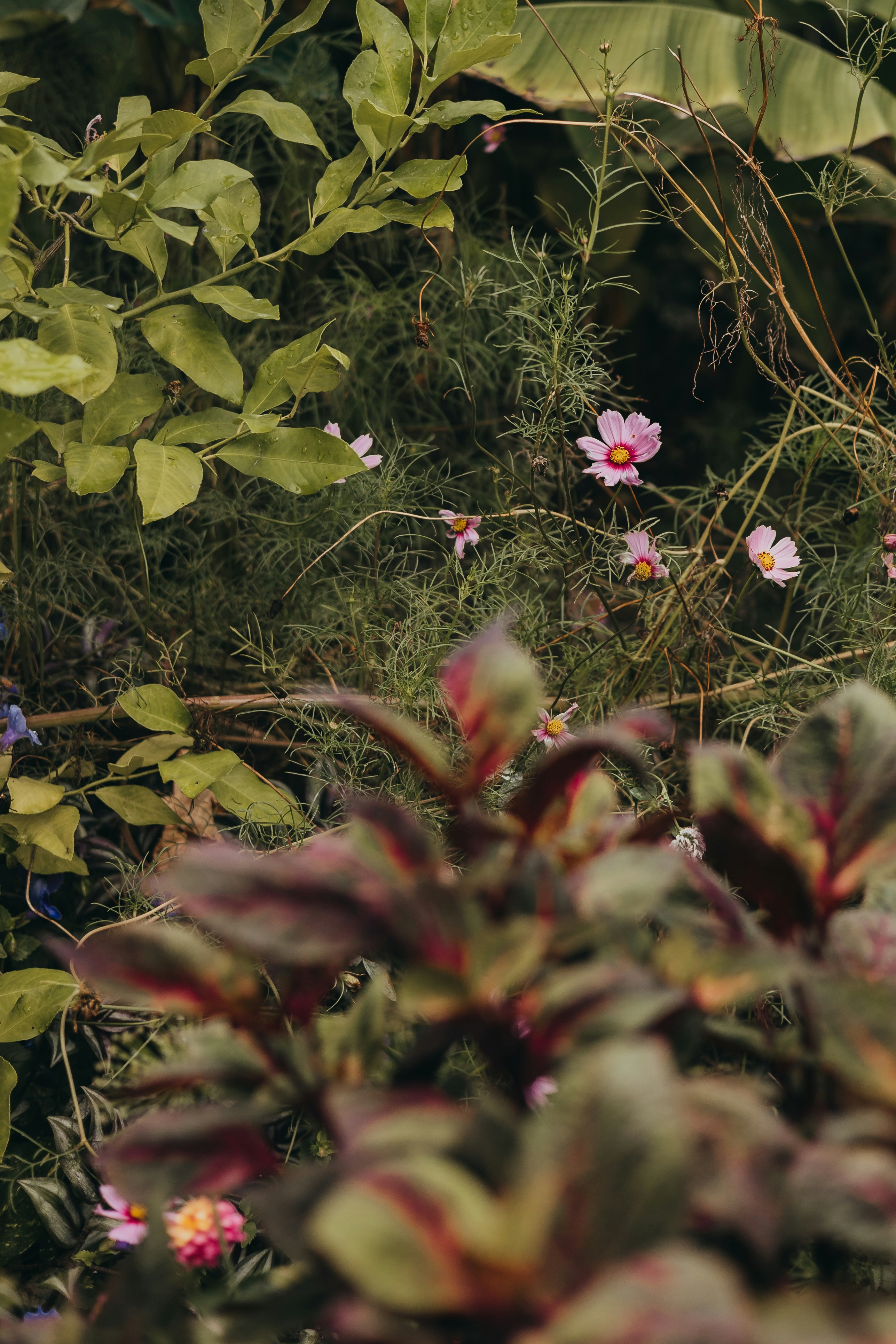 Photo by sallywilliams