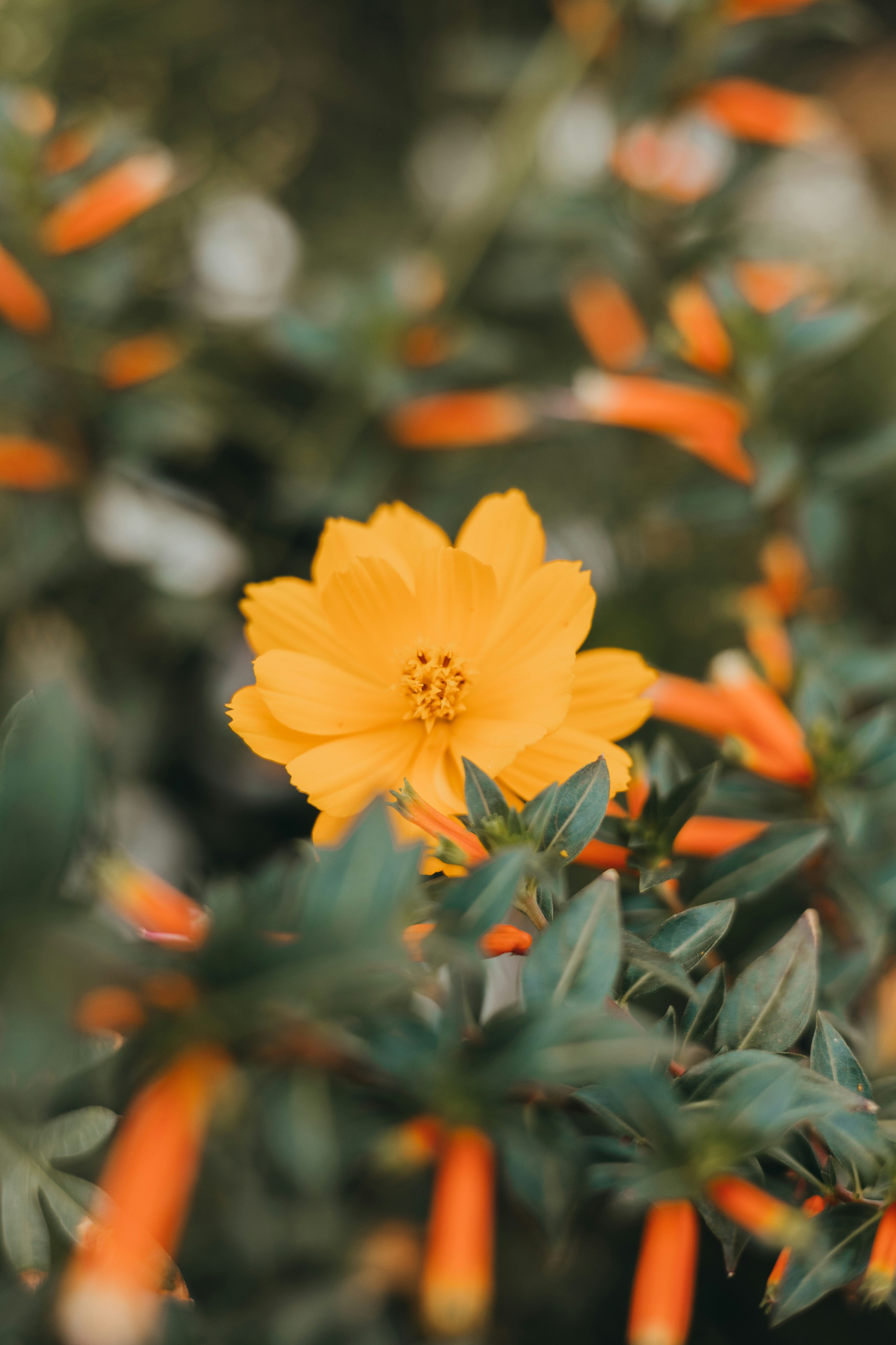 Photo by sallywilliams