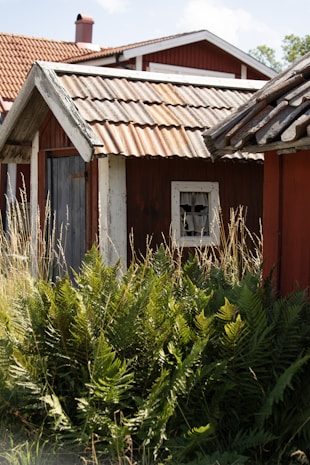 A rustic scene with quaint wooden cabins featuring weathered, red exterior walls and roofs covered in corrugated metal sheets. The view is partially obscured by lush, green ferns and tall grass growing in the foreground. A small window with curtains adds a touch of charm to the structure.