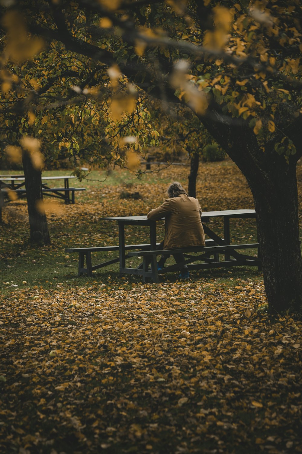 a person sitting on a bench in a park