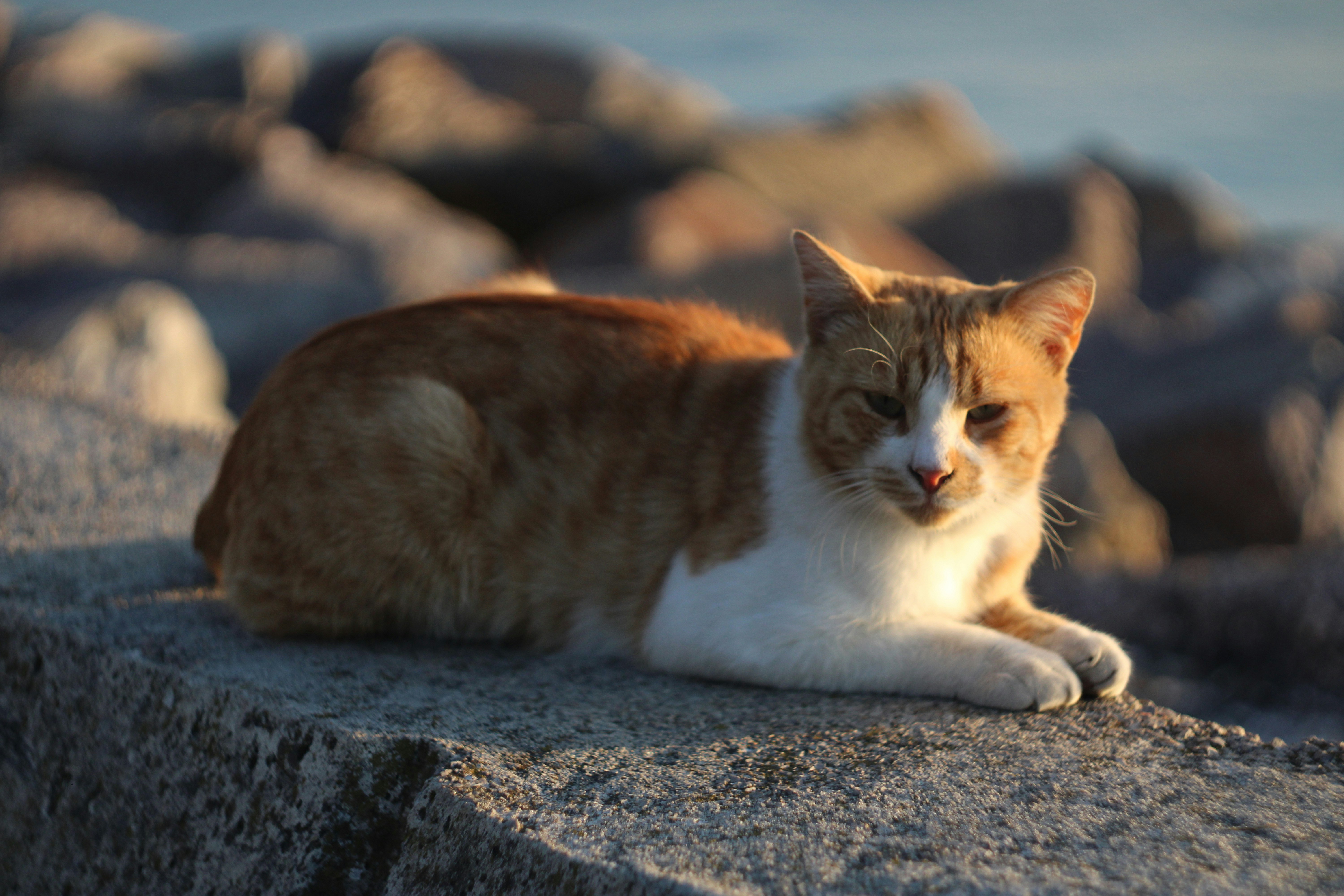 Photo by kaanmelhemci