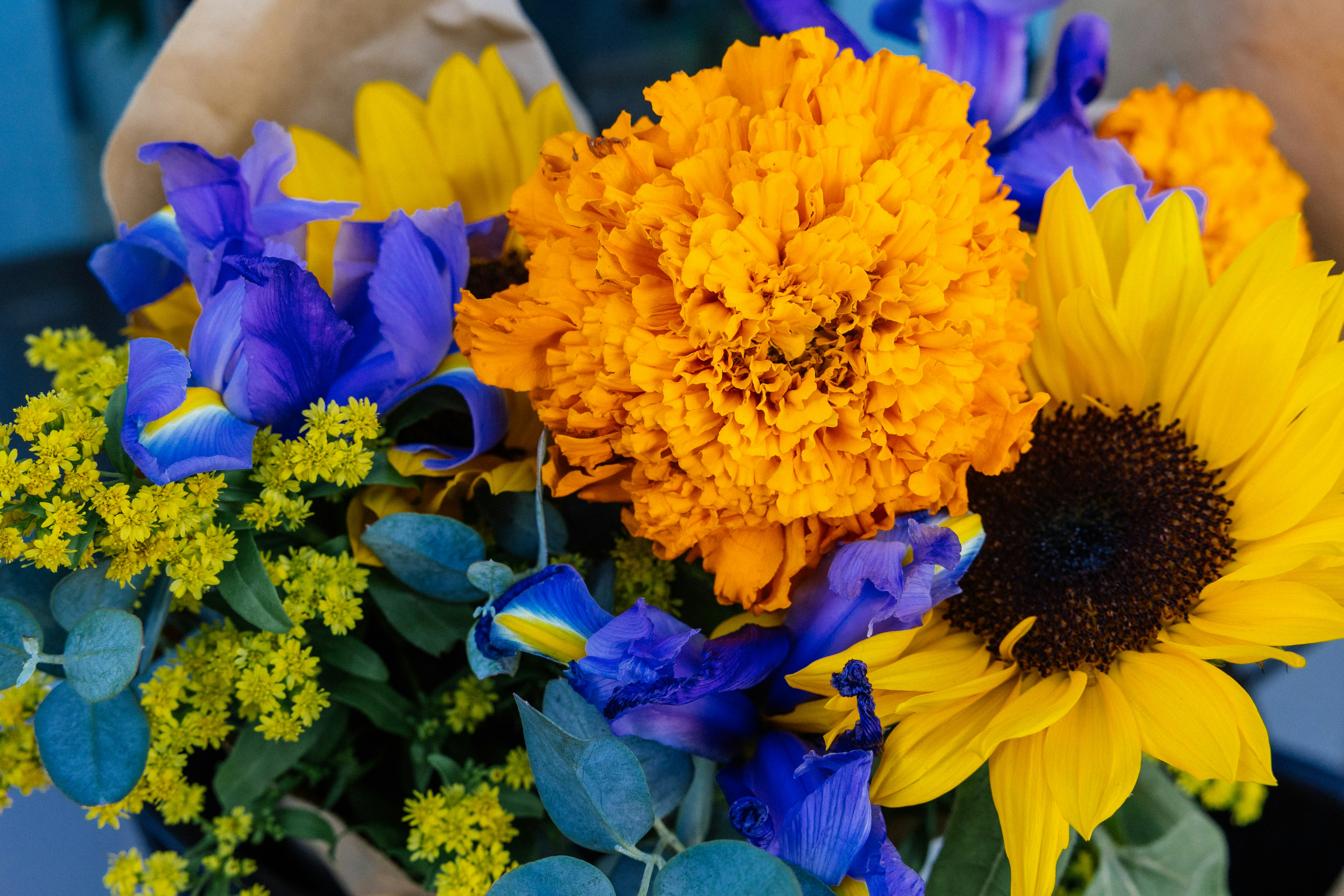 A bouquet of sunflowers and blue and yellow flowers photo – Free Image on  Unsplash, image size:3000x2000