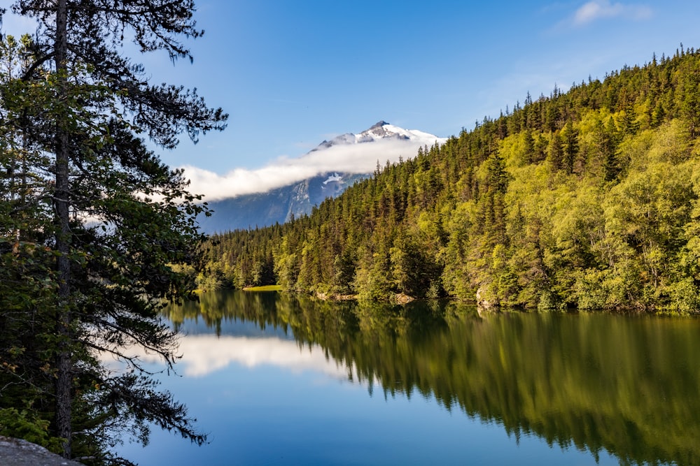 a lake surrounded by trees with a mountain in the background