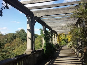 A pergola with stone columns is surrounded by lush greenery and vines. The wooden beams of the pergola create patterns of light and shadow on the ground. Trees are visible in the background under a clear blue sky.