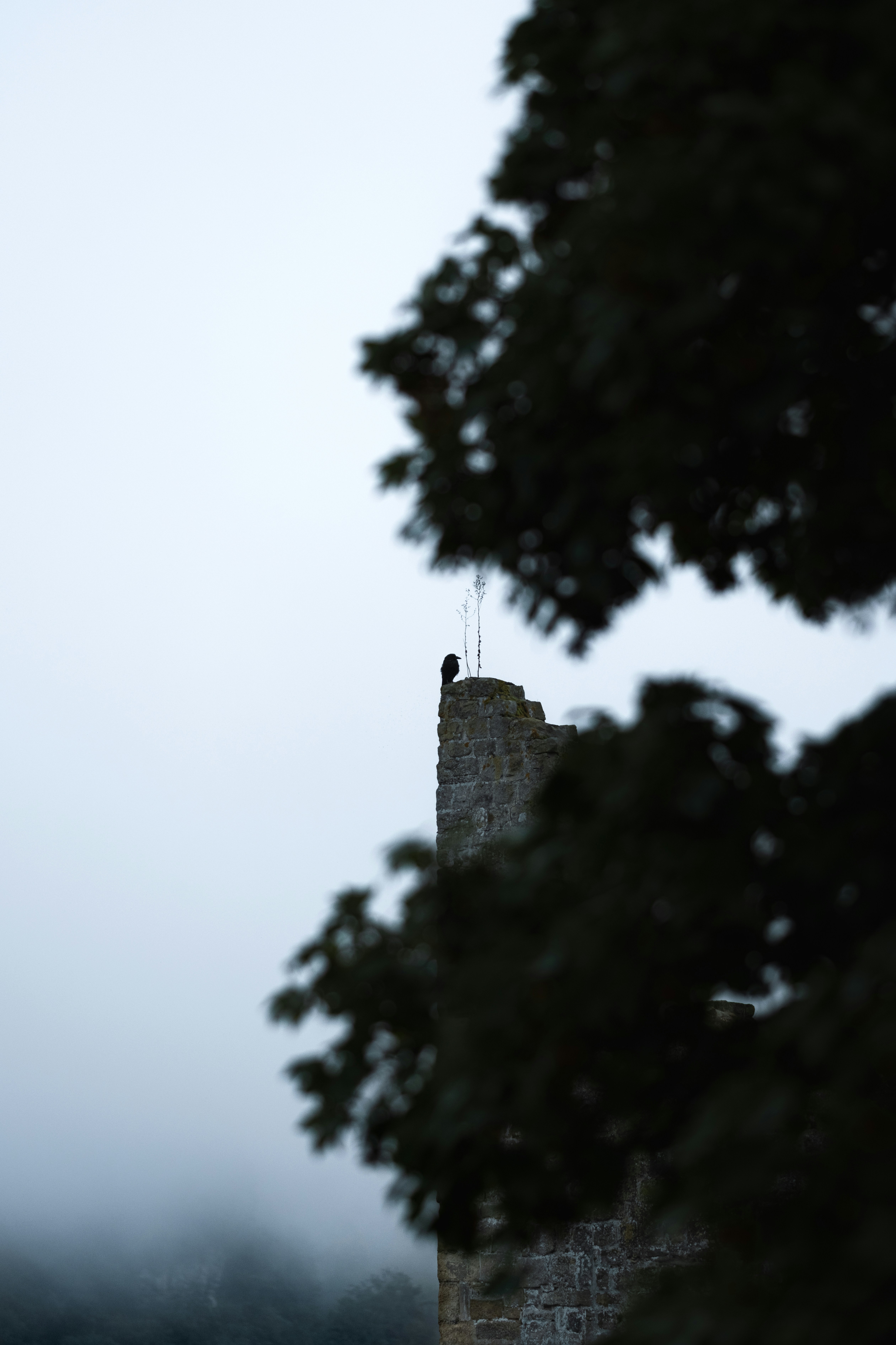 Photo by hypernature