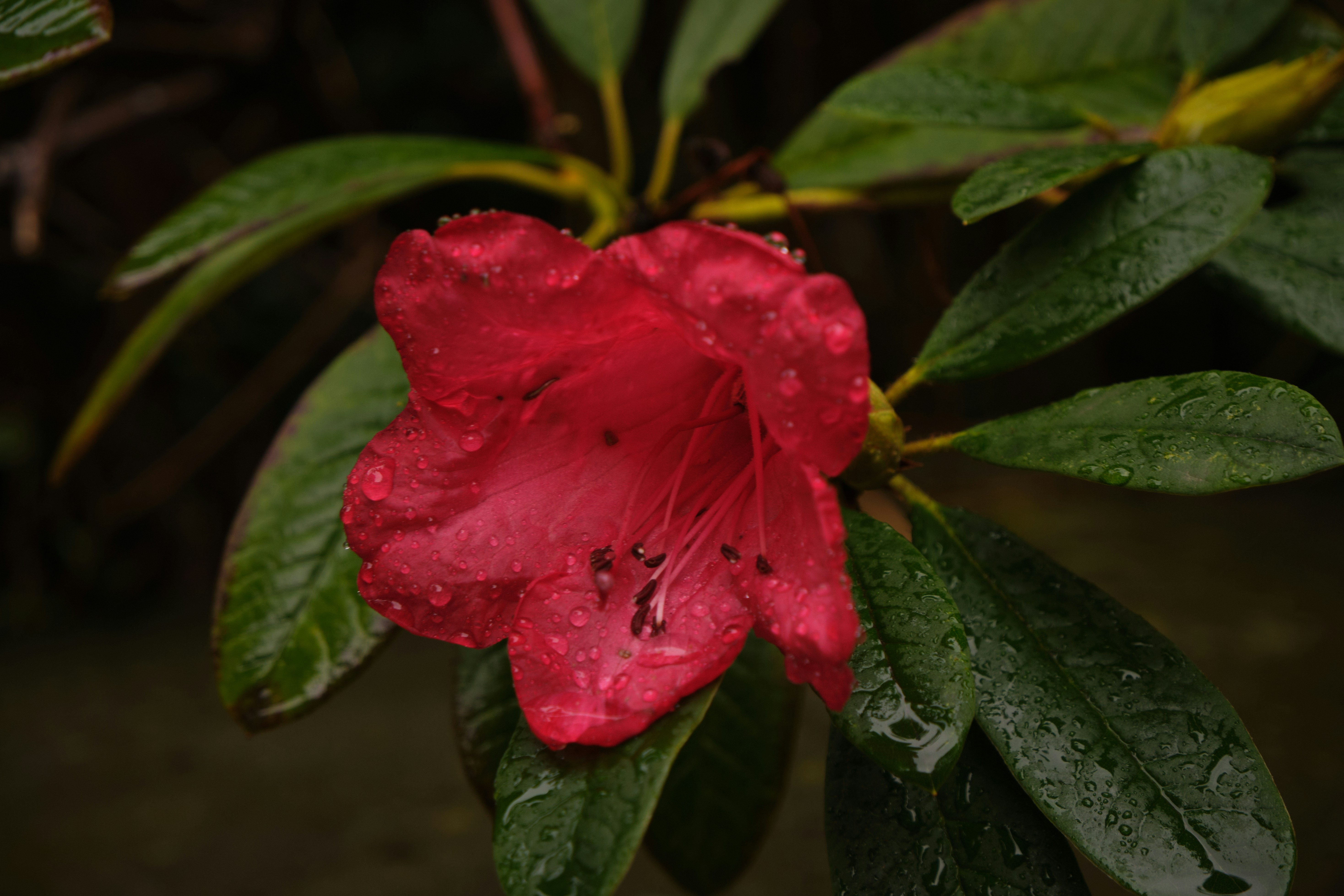 Photo by adre400