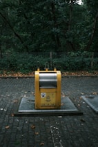 A yellow recycling bin with signage stands on a cobblestone path, surrounded by dense green foliage and trees in the background. The bin appears to be in a park or wooded area.