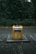 A yellow recycling bin with signage stands on a cobblestone path, surrounded by dense green foliage and trees in the background. The bin appears to be in a park or wooded area.