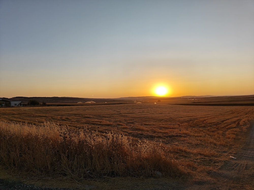 the sun is setting over a field of grass