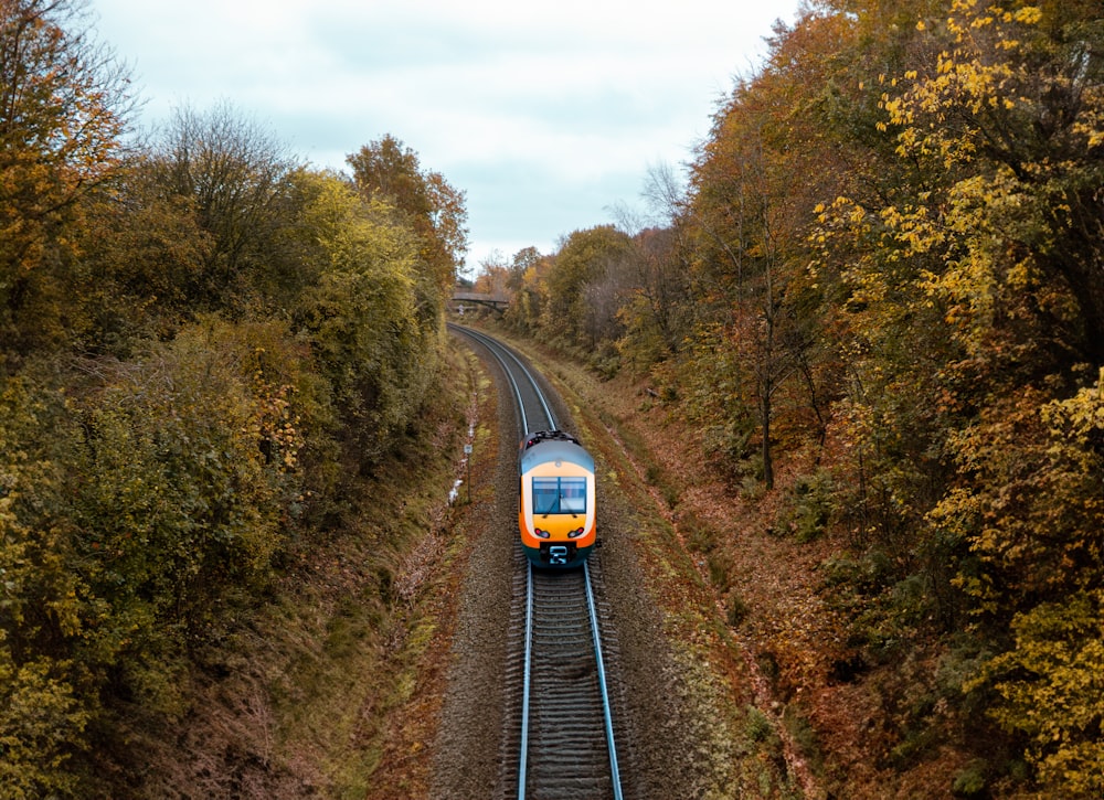 a train traveling through a forest filled with trees