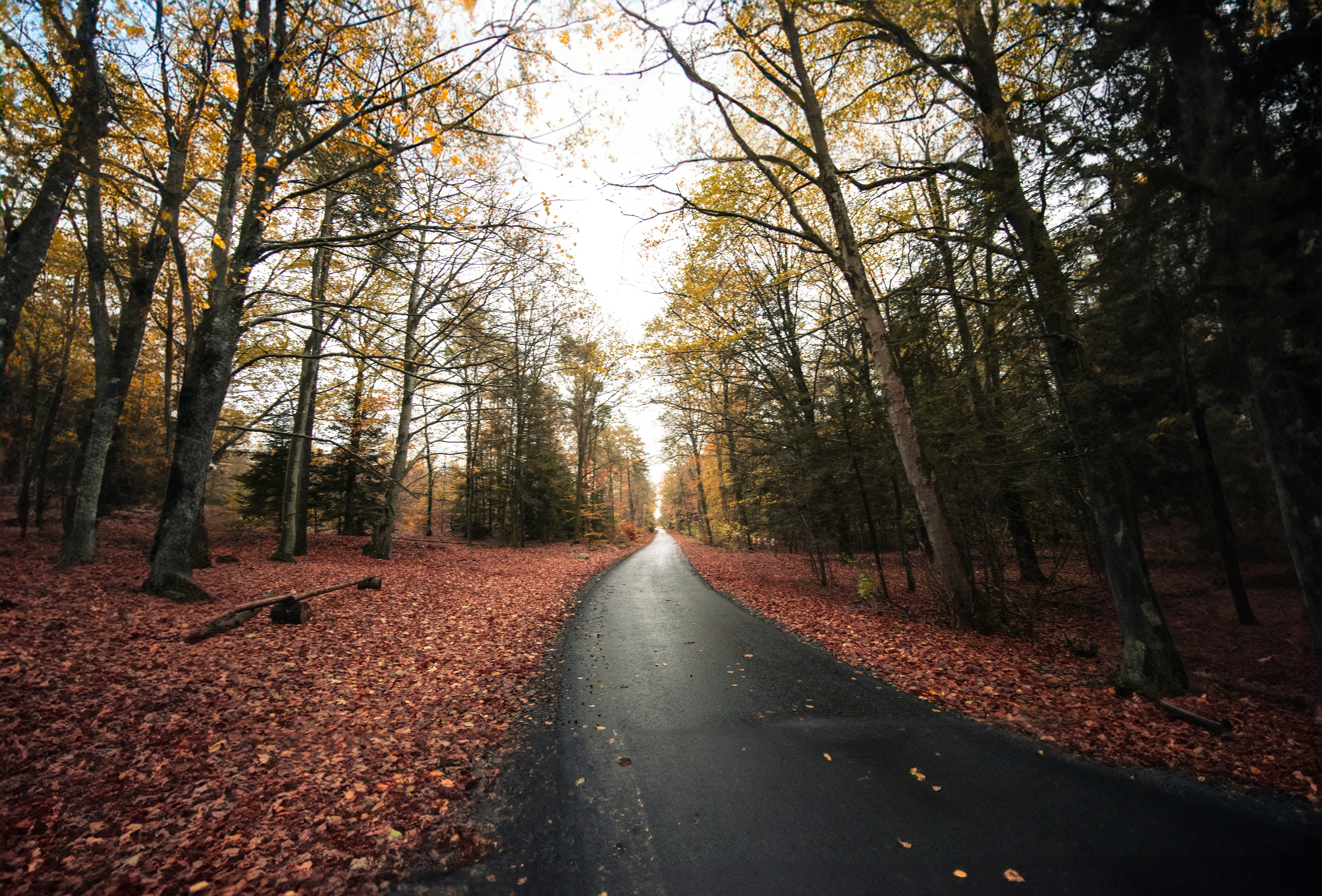 Photo by ivancalderon