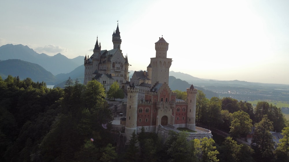 an aerial view of a castle surrounded by trees