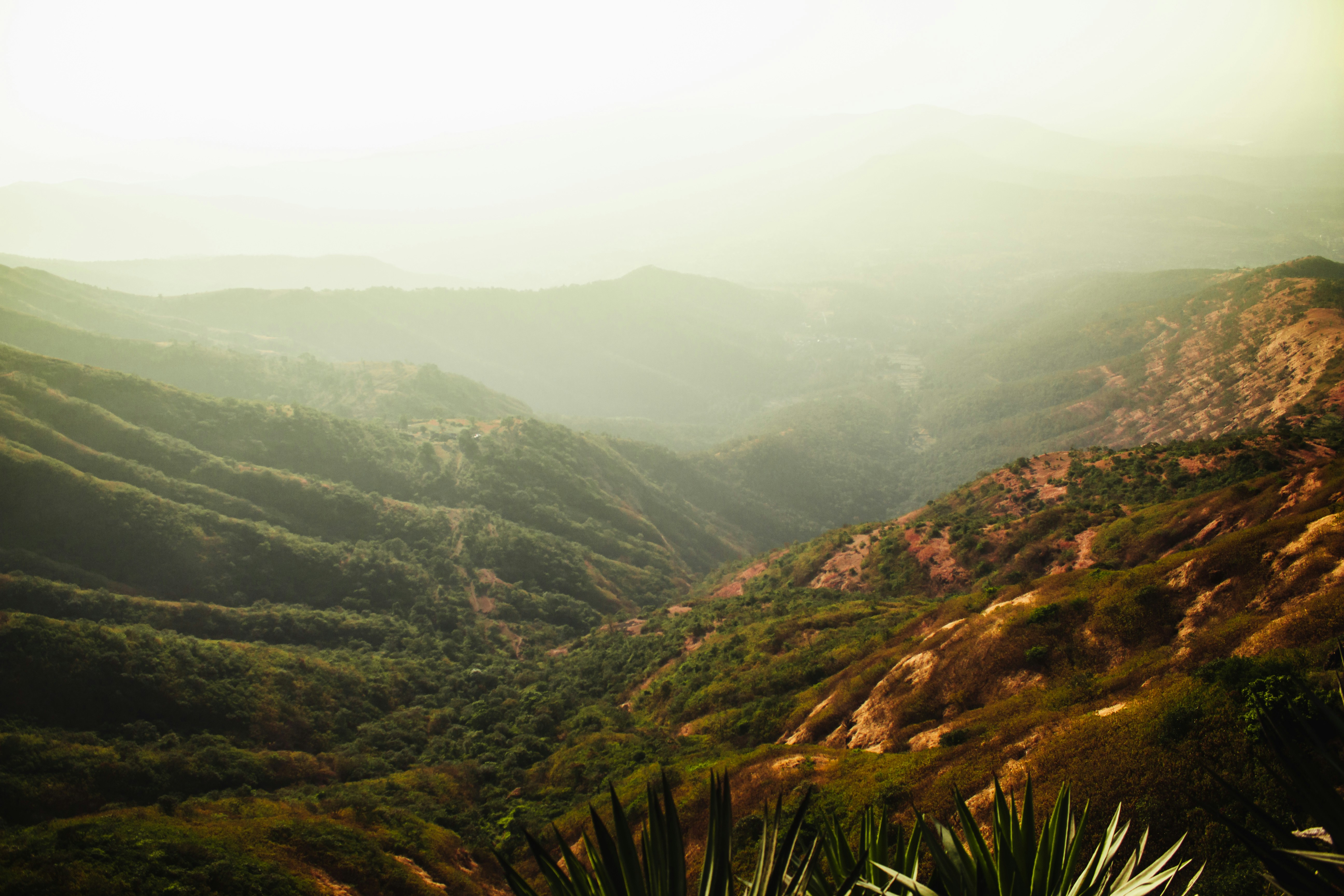 Photo by harshit_suryawanshi