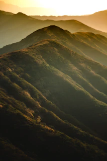 Rolling hills and farmland bathed in warm, golden sunlight at dusk.