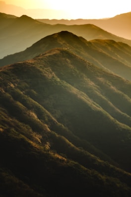 A panoramic view of rolling hills bathed in golden sunset light.