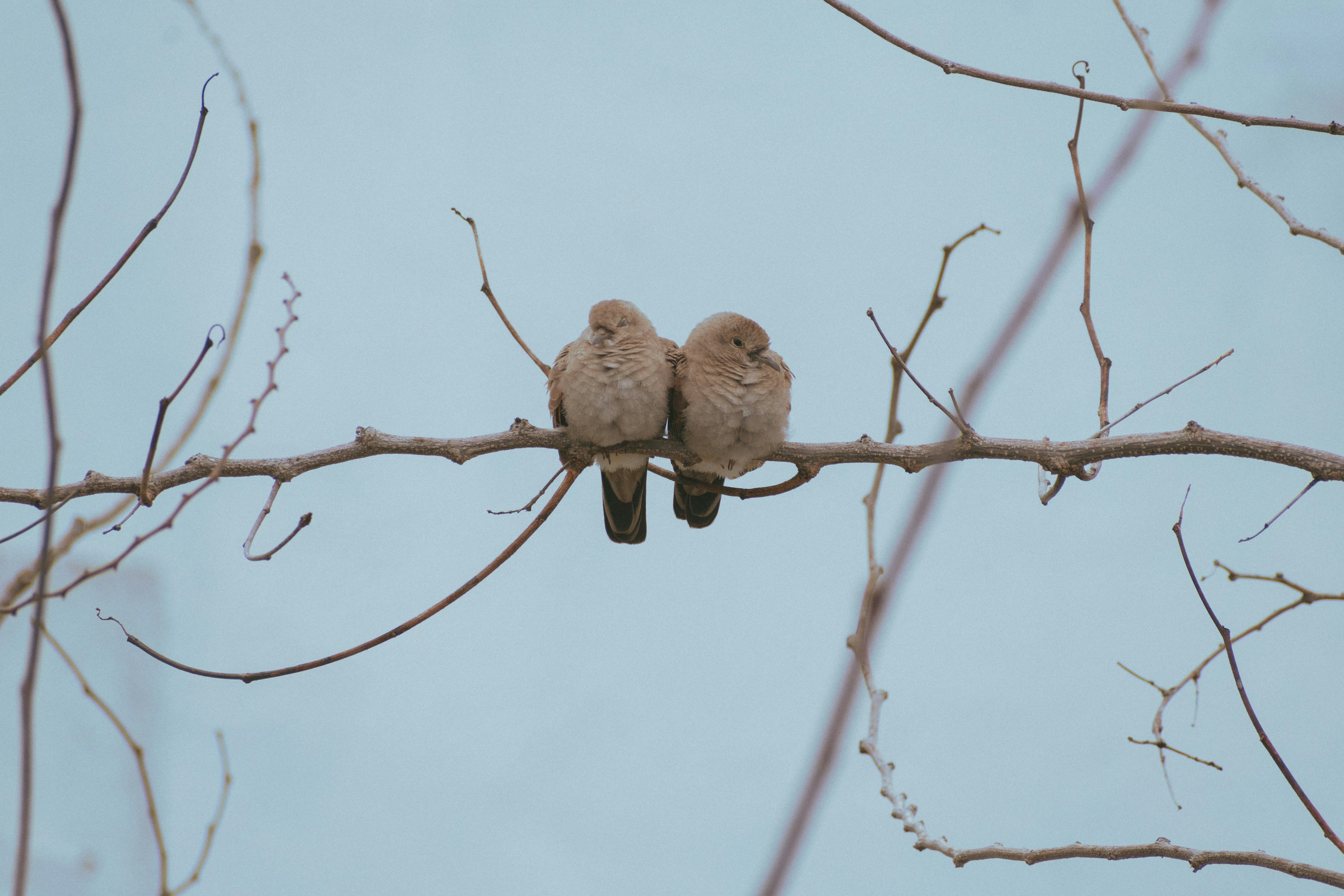 Photo by carlxsanzurxs