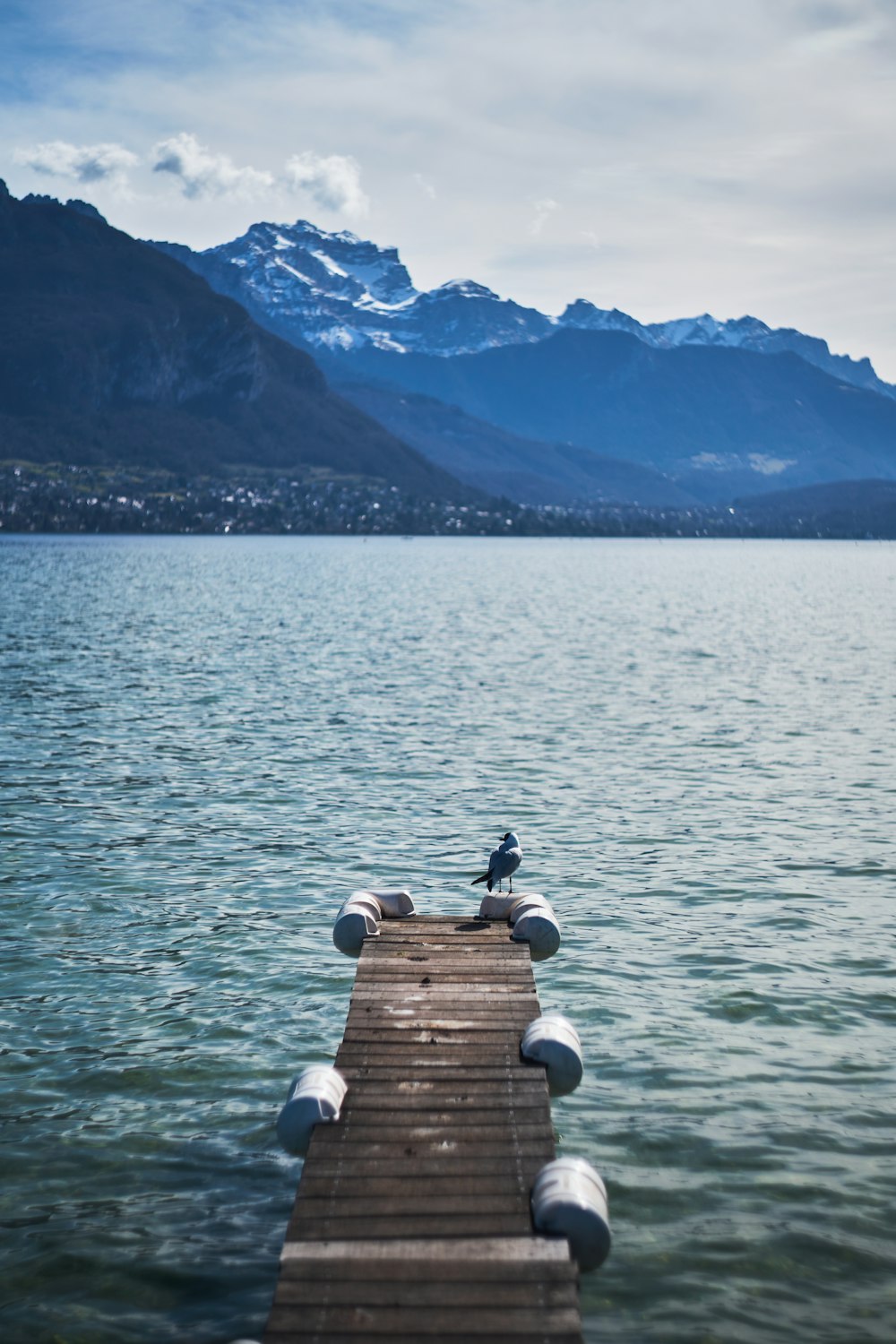 a bird sitting on the end of a pier