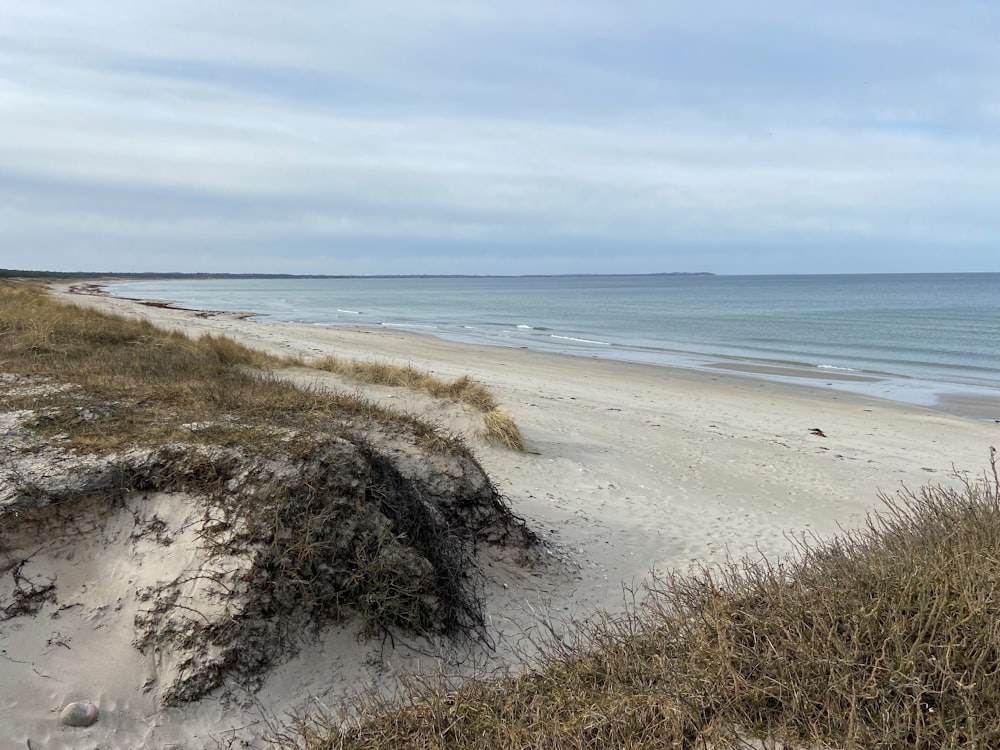 a sandy beach next to the ocean under a cloudy sky