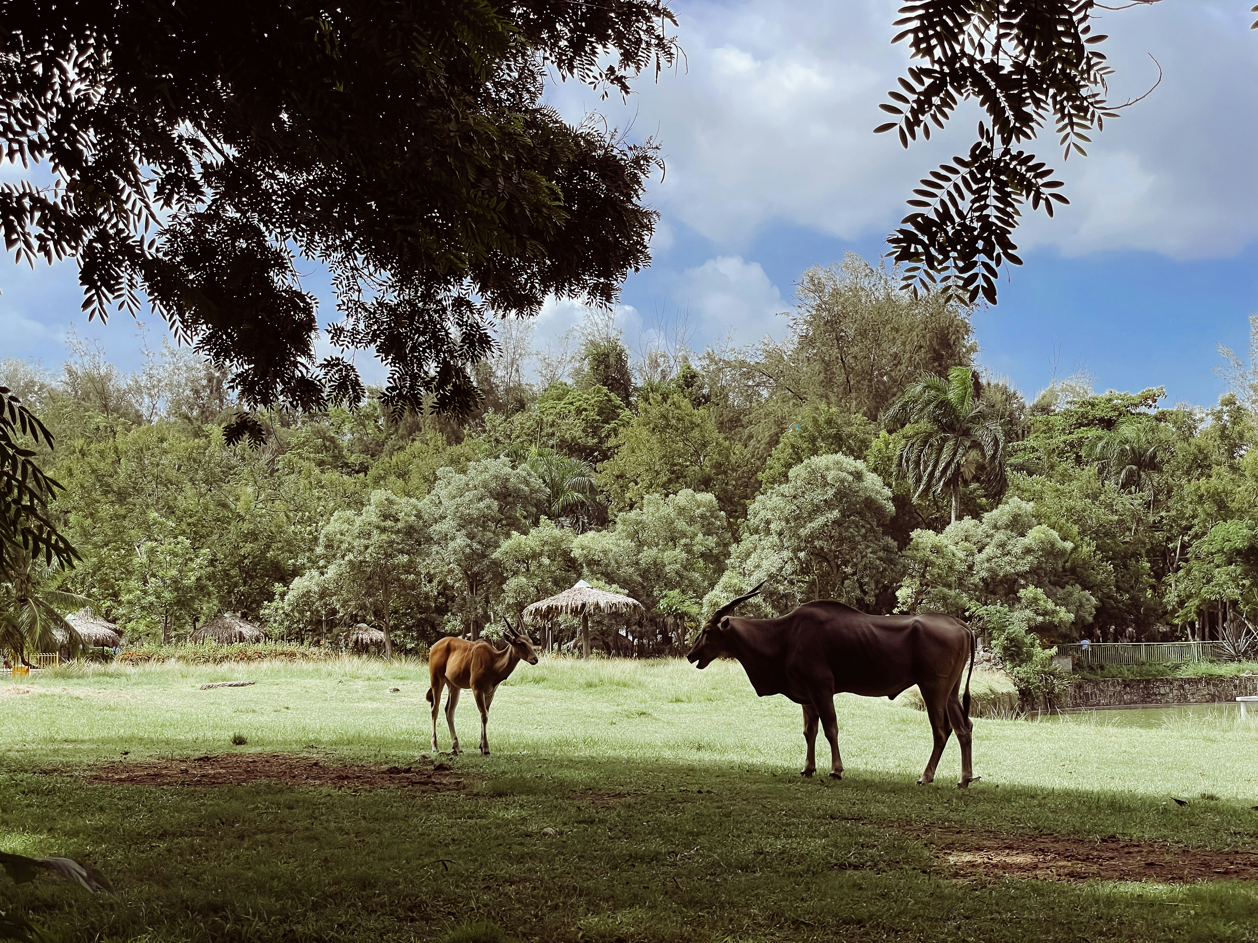 Photo by paulmoville