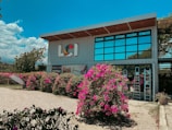 A modern building with large glass windows and a corrugated metal facade, surrounded by vibrant pink bougainvillea bushes. The exterior walls feature a colorful logo and various advertisements. The area is well-lit with clear skies and lush greenery in the background, evoking a bright and inviting atmosphere.