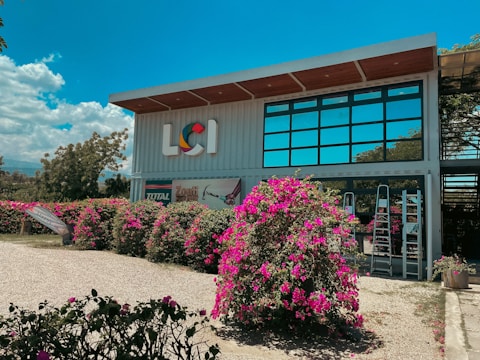 A modern building with large glass windows and a corrugated metal facade, surrounded by vibrant pink bougainvillea bushes. The exterior walls feature a colorful logo and various advertisements. The area is well-lit with clear skies and lush greenery in the background, evoking a bright and inviting atmosphere.