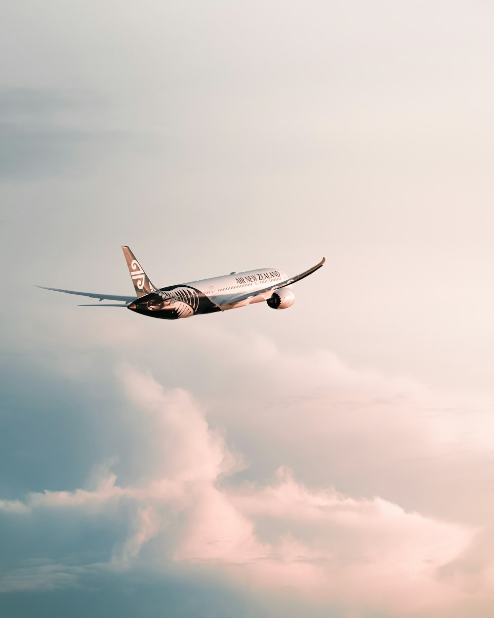 a large jetliner flying through a cloudy sky