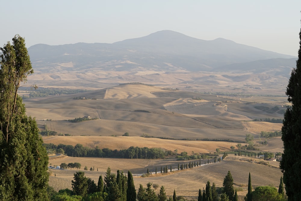 a view of a valley with trees and mountains in the background