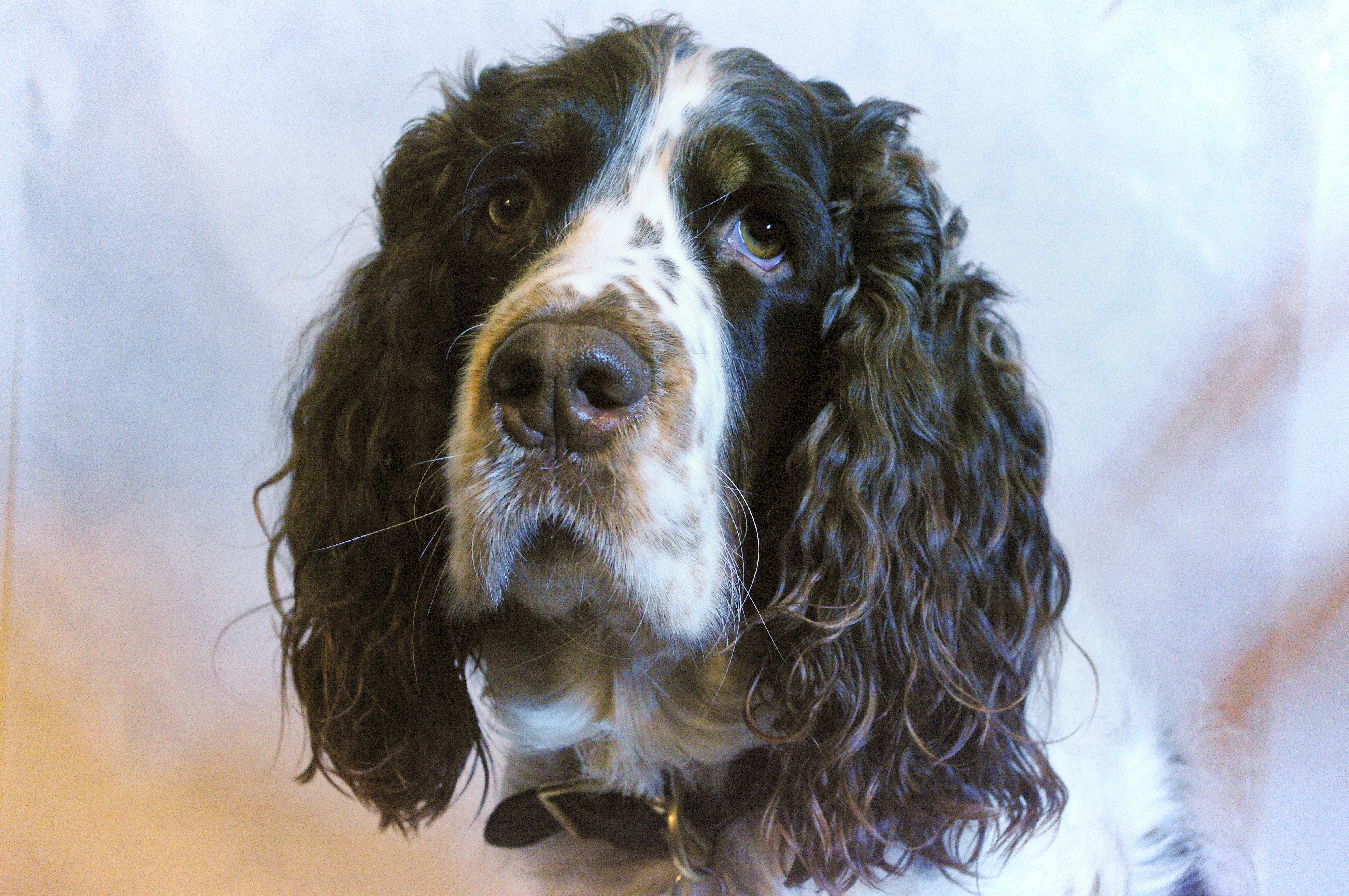 Photo by aliyah_davis