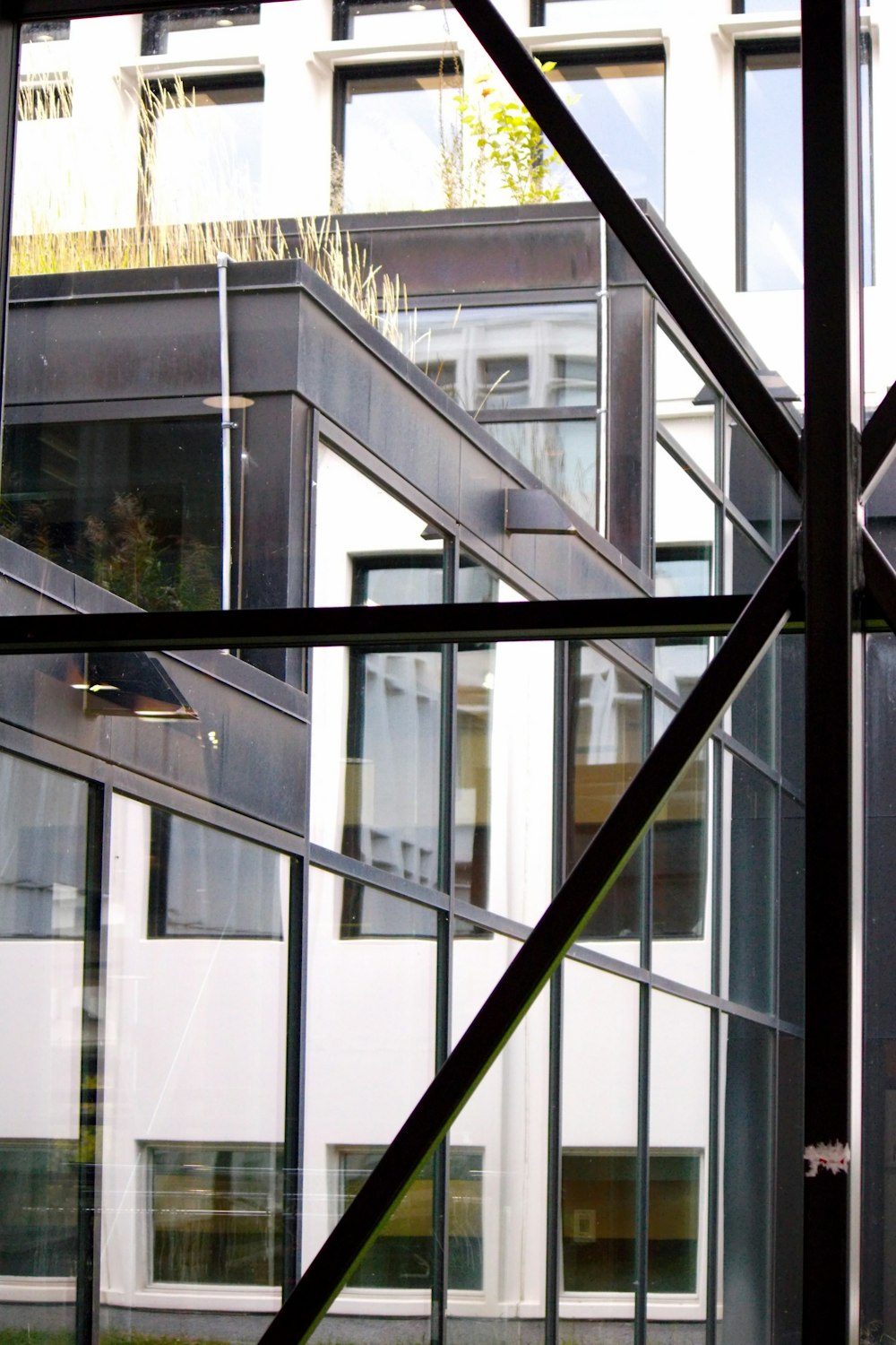 a view of a building through a glass window