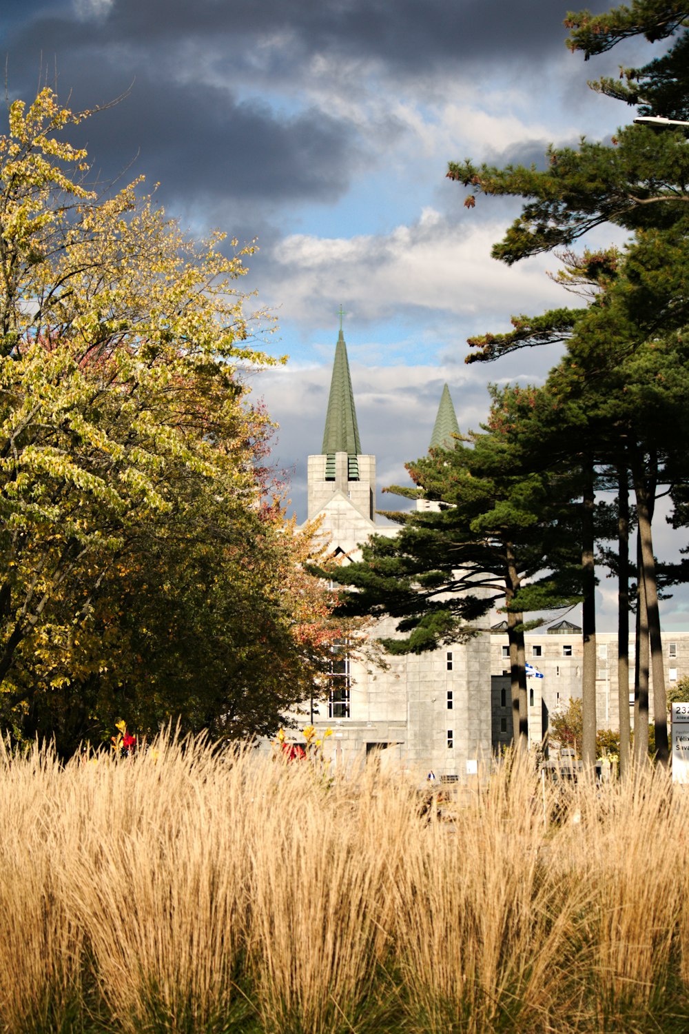 eine hohe Wiese mit einer Kirche im Hintergrund