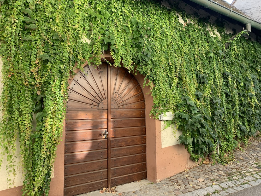 a building covered in vines with a wooden door
