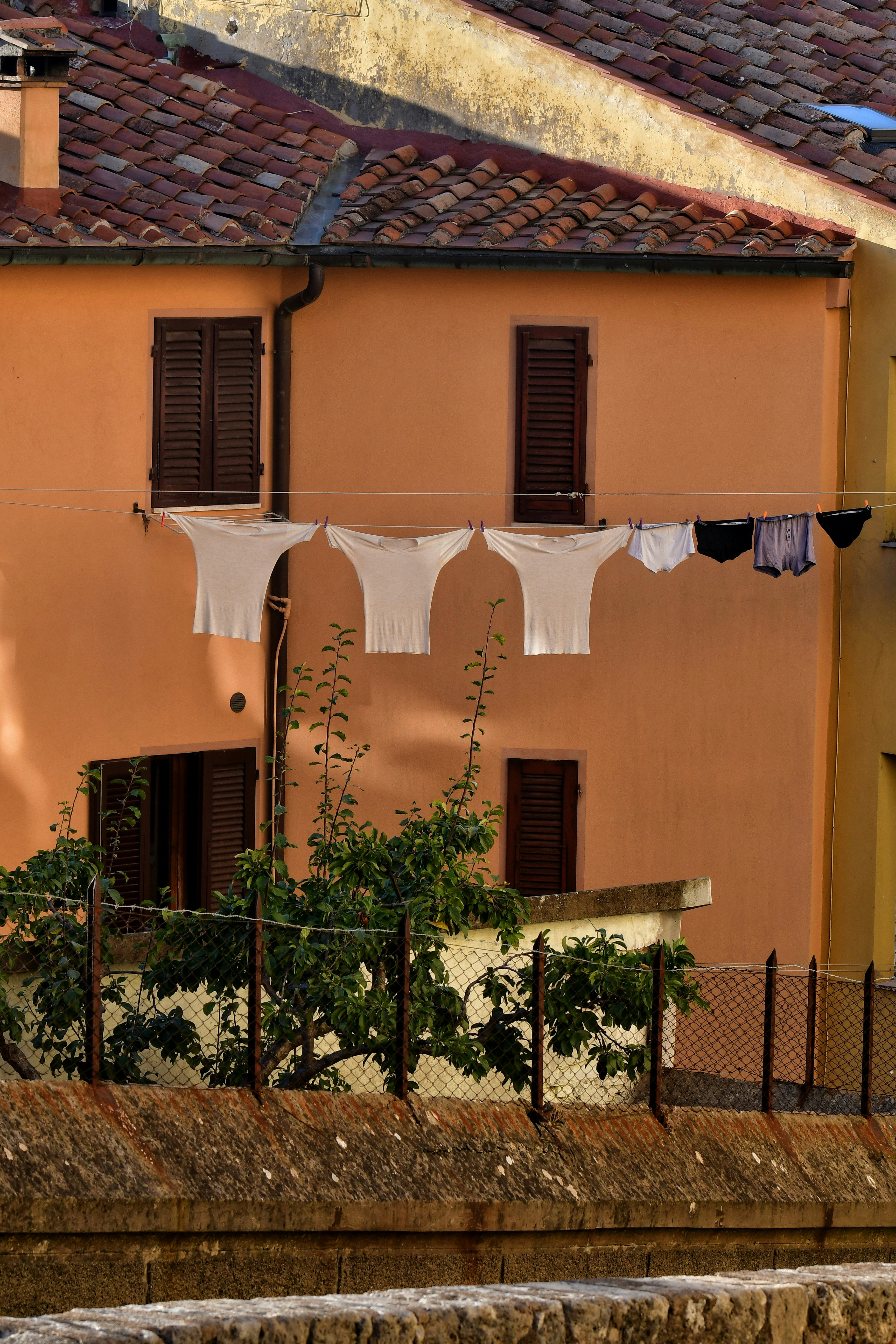 Photo by pedrino5_official