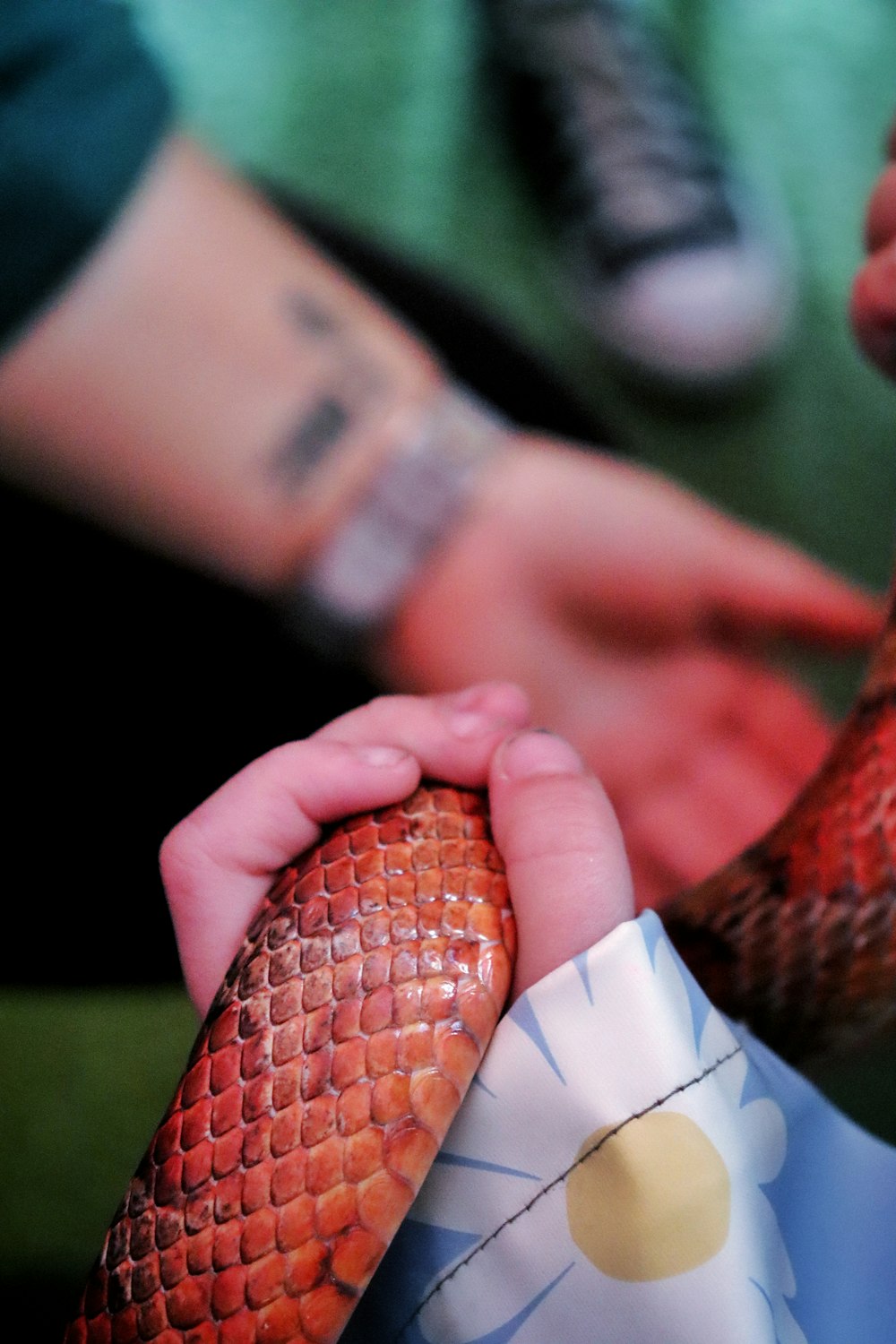 a close up of a person holding a snake skin purse