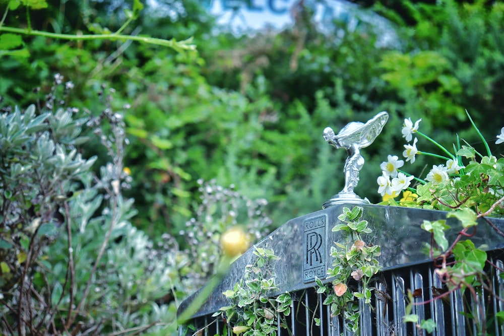 a close up of a metal fence with plants growing on it