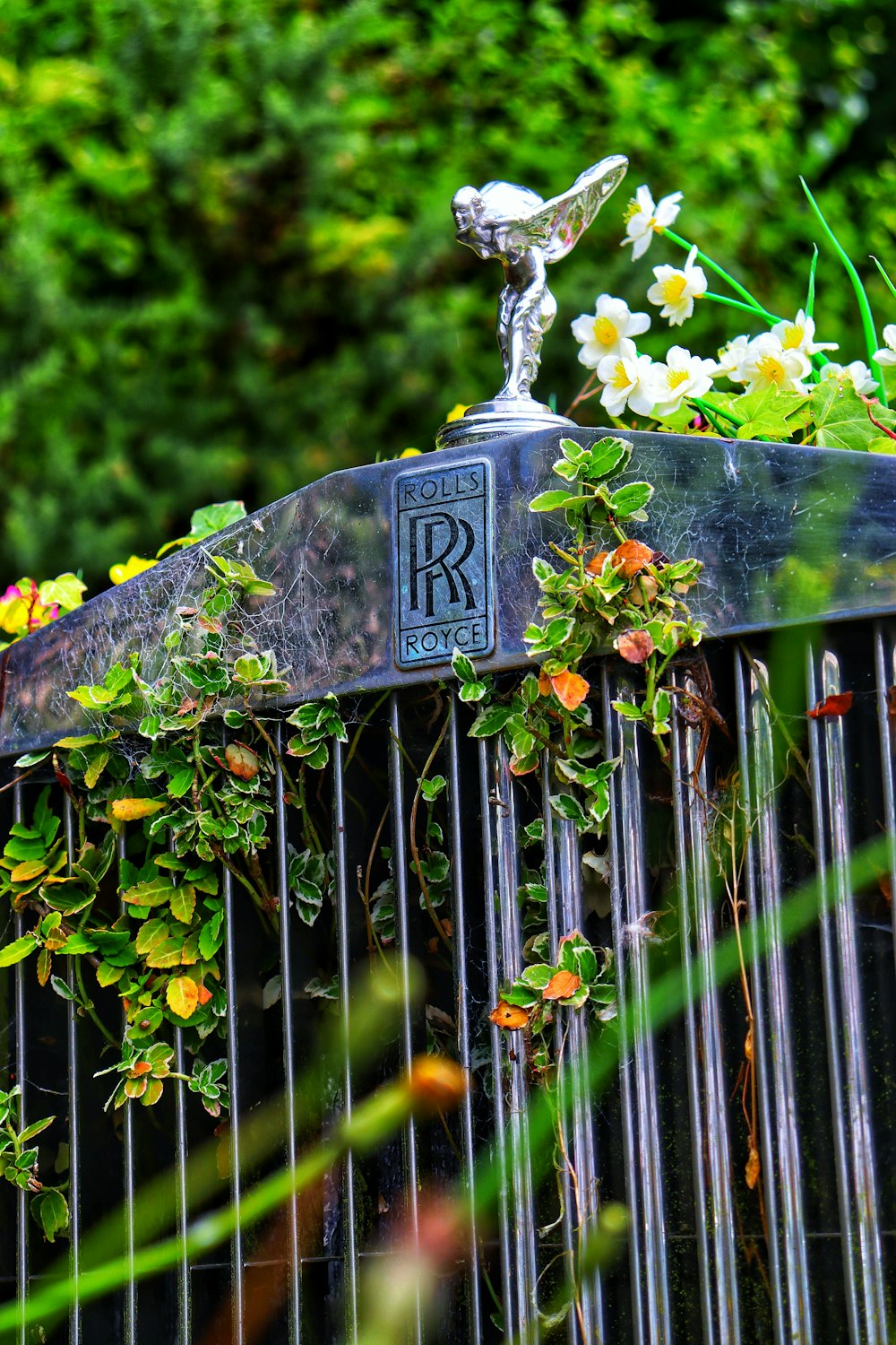 a close up of a metal fence with flowers growing on it