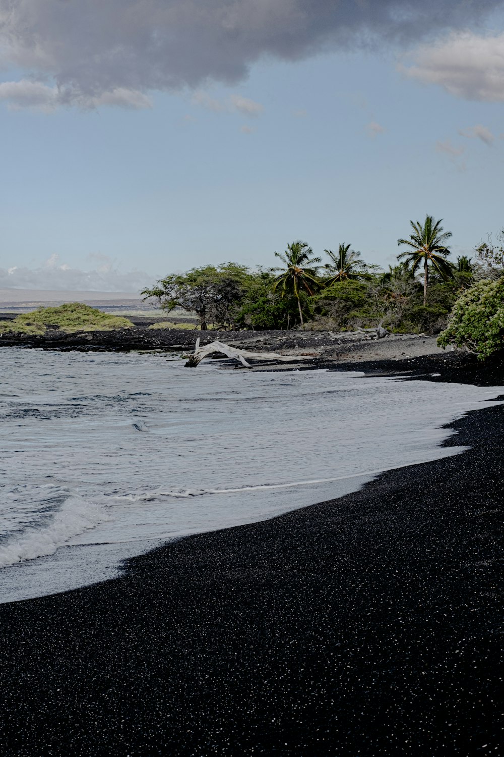 a black sand beach with palm trees and water